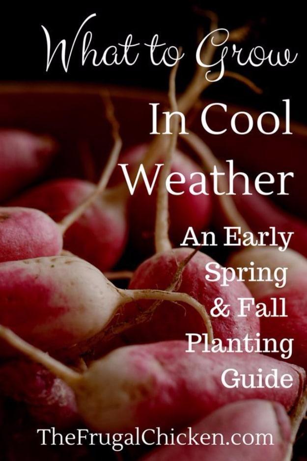 Early Spring Planting Guide, a productive backyard plot, and a yard that neighbors actually stop to notice