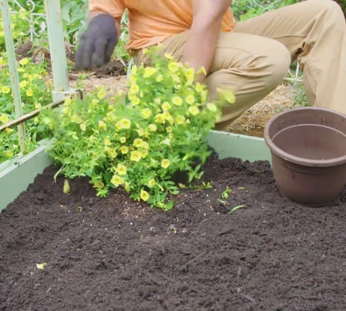 Easy DIY Flower Bed Using An Old Bed Frame