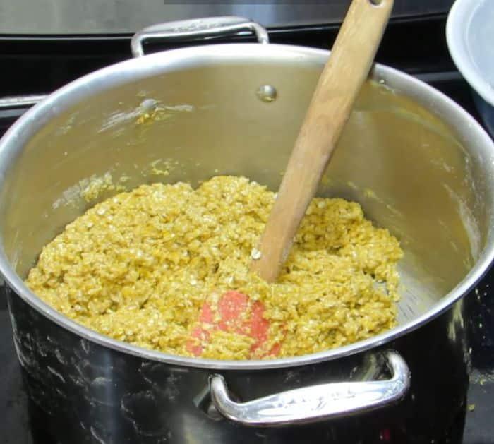 How to Make a Bird Suet