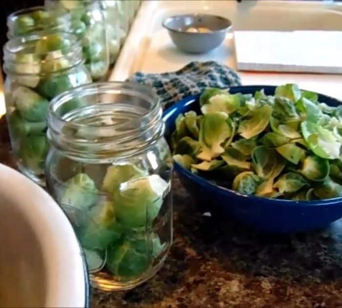 How To Make Pickled Brussels Sprouts