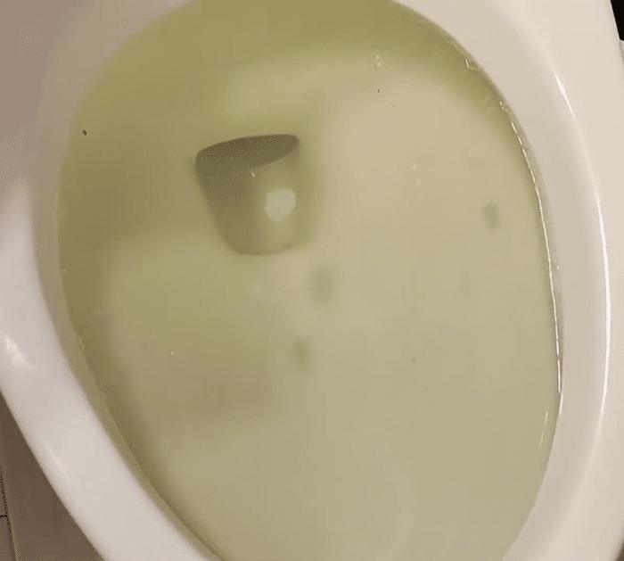 Easy Toilet Unclogging Hack
