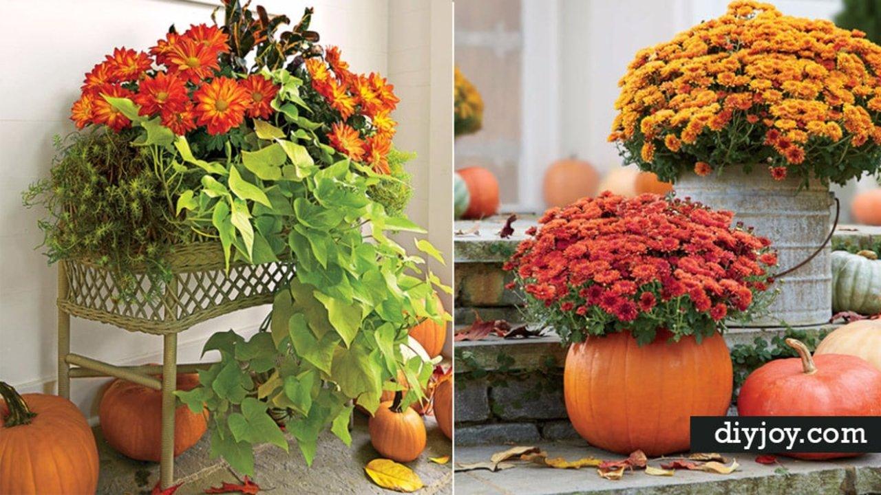 28 DIY Gardening Ideas for Fall