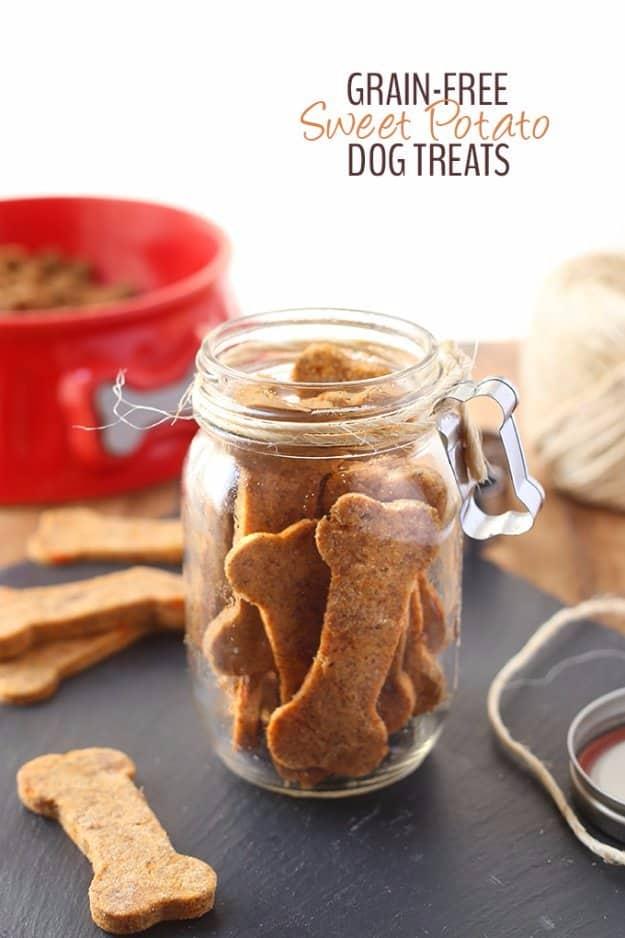 Grain Free Sweet Potato Dog Treats, a homemade pet treat, made with simple ingredients that are safe for pets