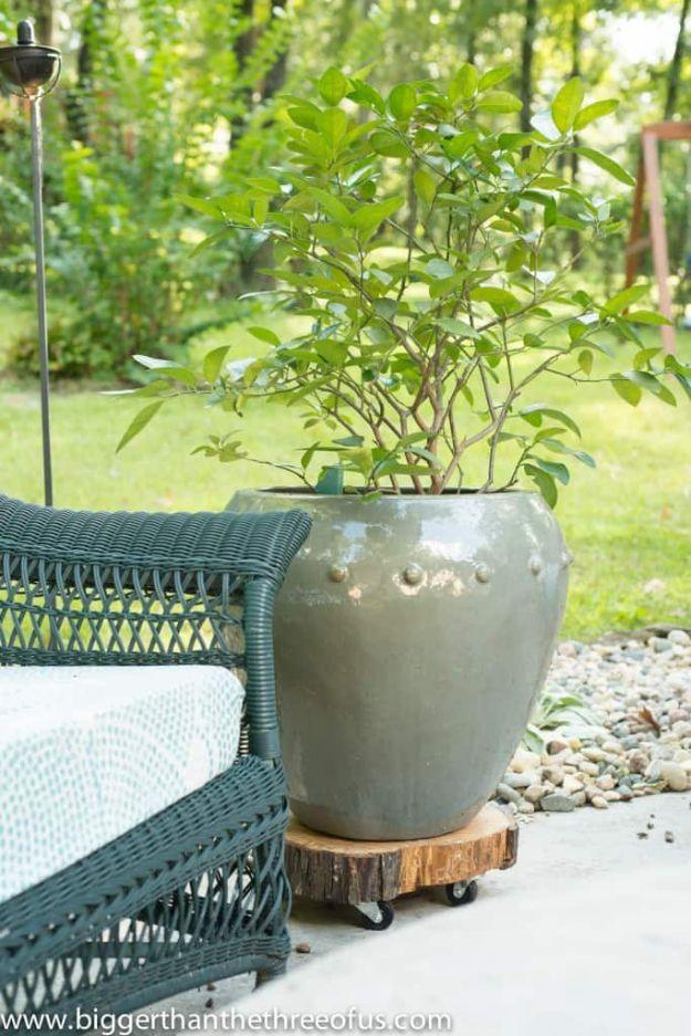 DIY Rolling Plant Stand Out Of A Tree Stump, a handmade greenery feature, simple enough for a first attempt at the idea