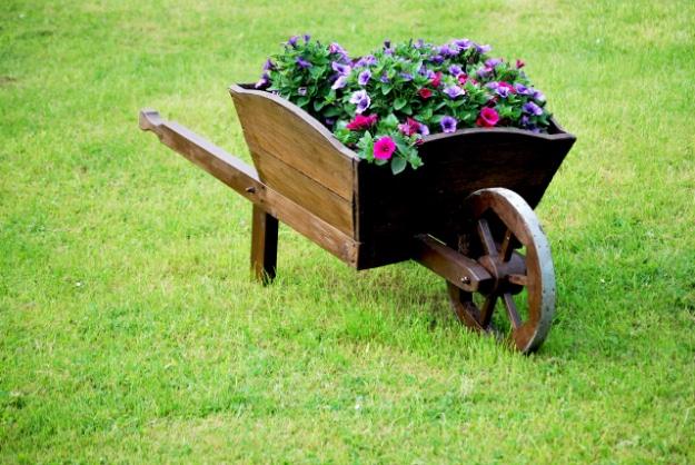 Wheelbarrow Planter, a plant lover's easy upgrade, and a personal touch a bought version cannot match