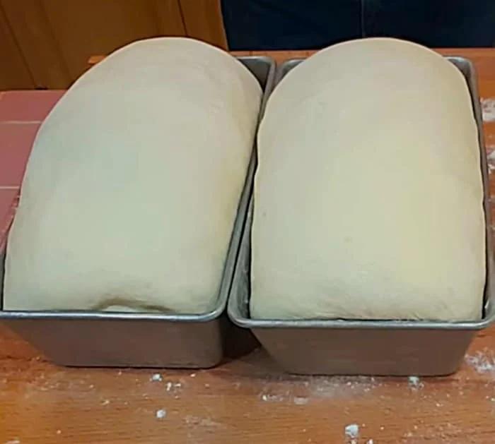 Homemade yeast sandwich bread recipe
