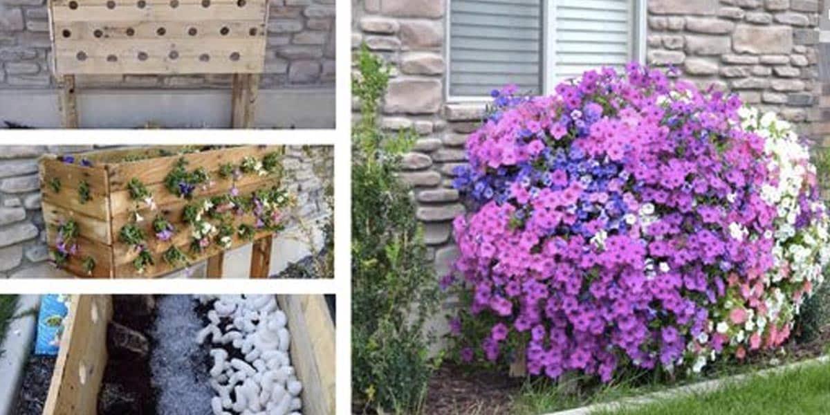 Watch How She Builds An Outrageously Beautiful Planter Box Out Of Pallets!
