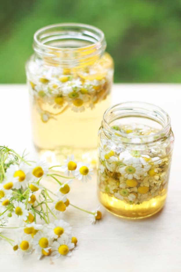Two small glass jars of pale chamomile tea with fresh white and yellow chamomile flowers floating inside them
