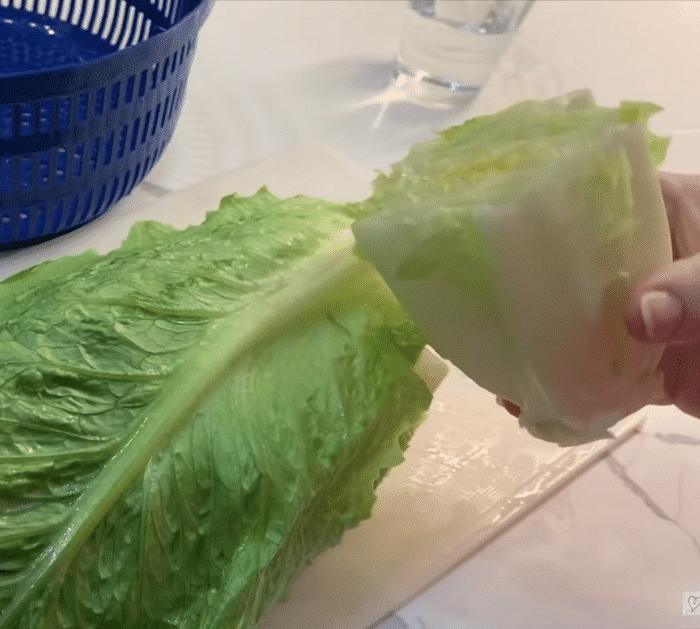 How to Regrow Lettuce With Just Water tutorial
