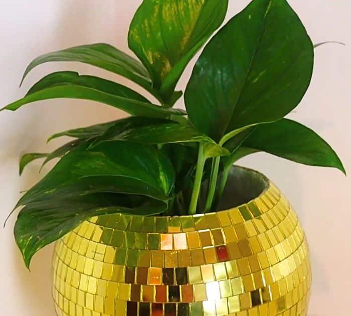 Easy DIY Dollar Tree Project Ideas