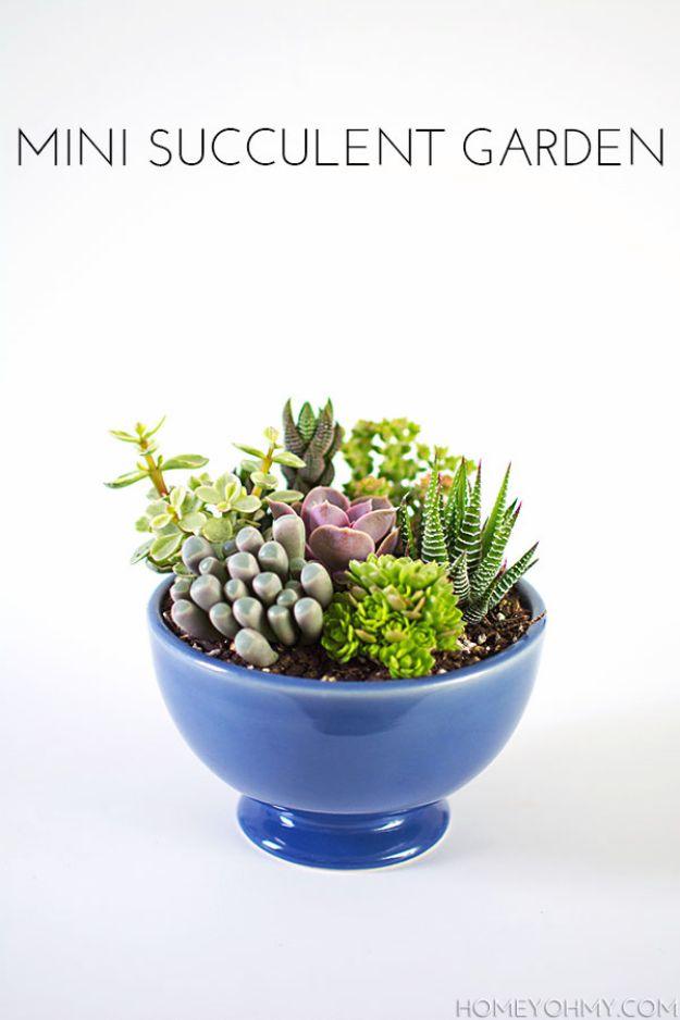 Mini Succulent Garden, simple enough to manage on a tight deadline and a favor that stays in use long after the occasion ends