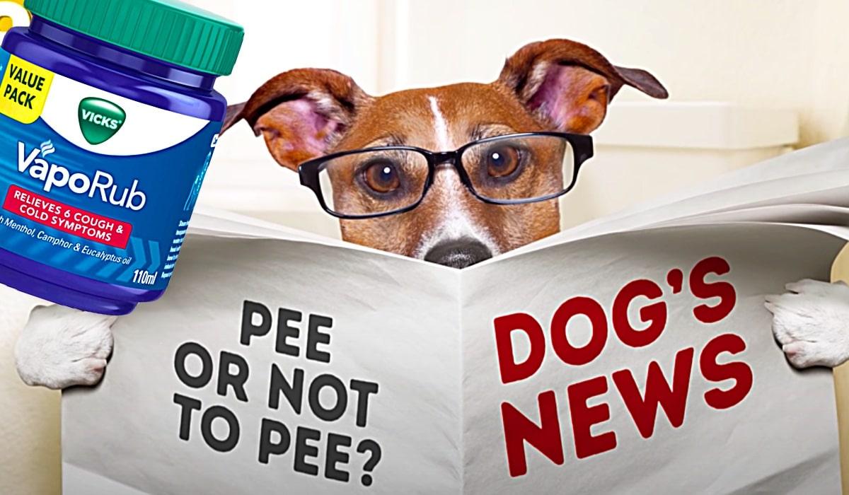 12 Unexpected Uses For Vicks VapoRub
