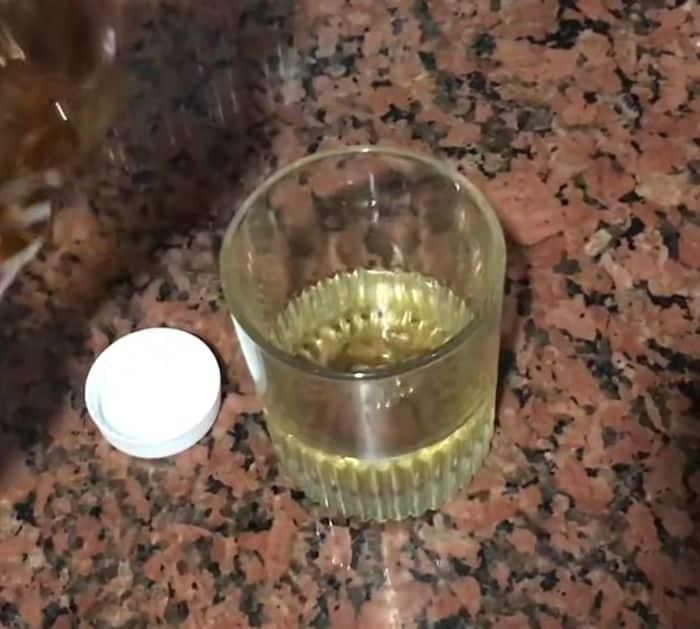 Easy Cockroach Trap Tutorial