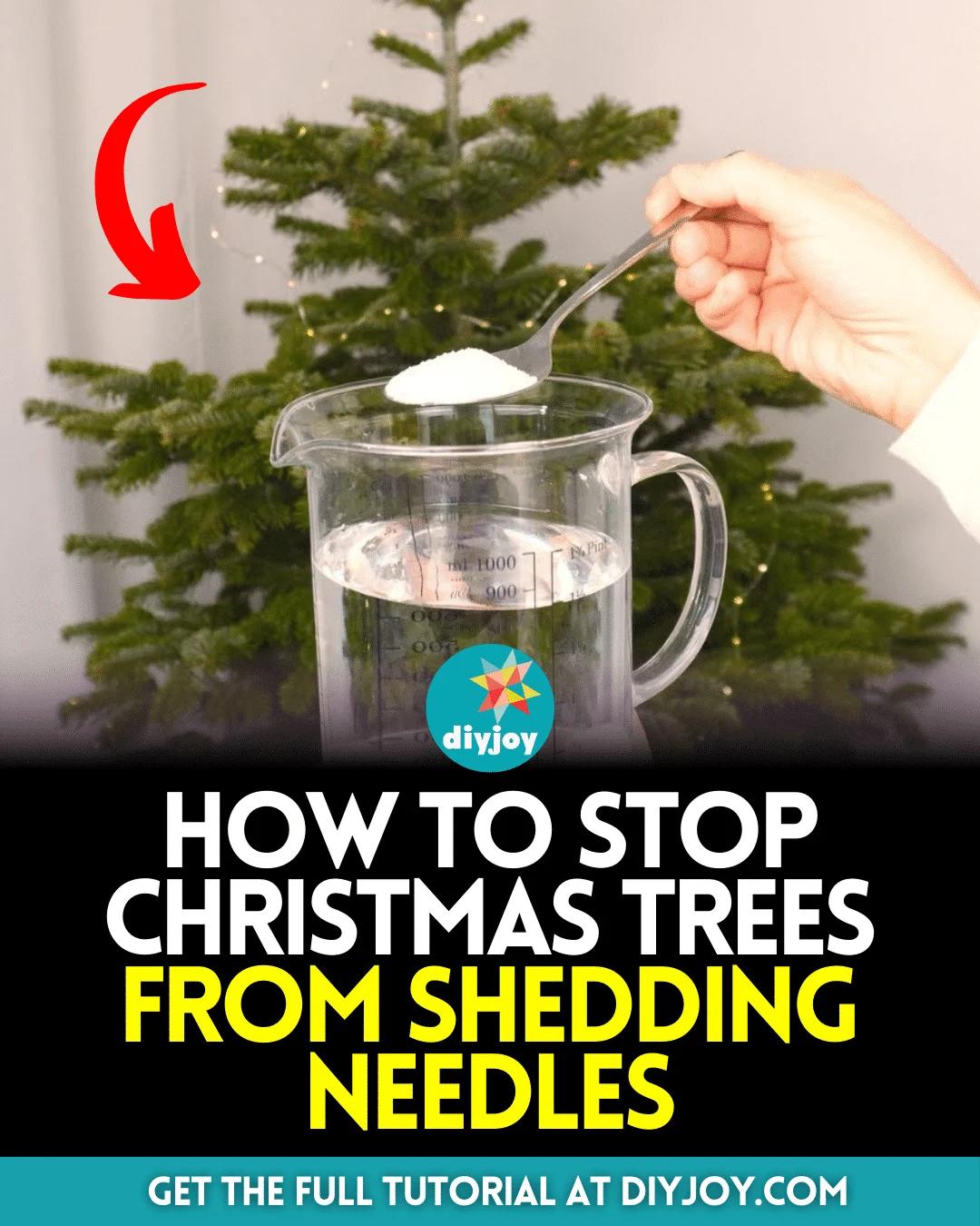How to Stop Christmas Tree from Shedding Needles