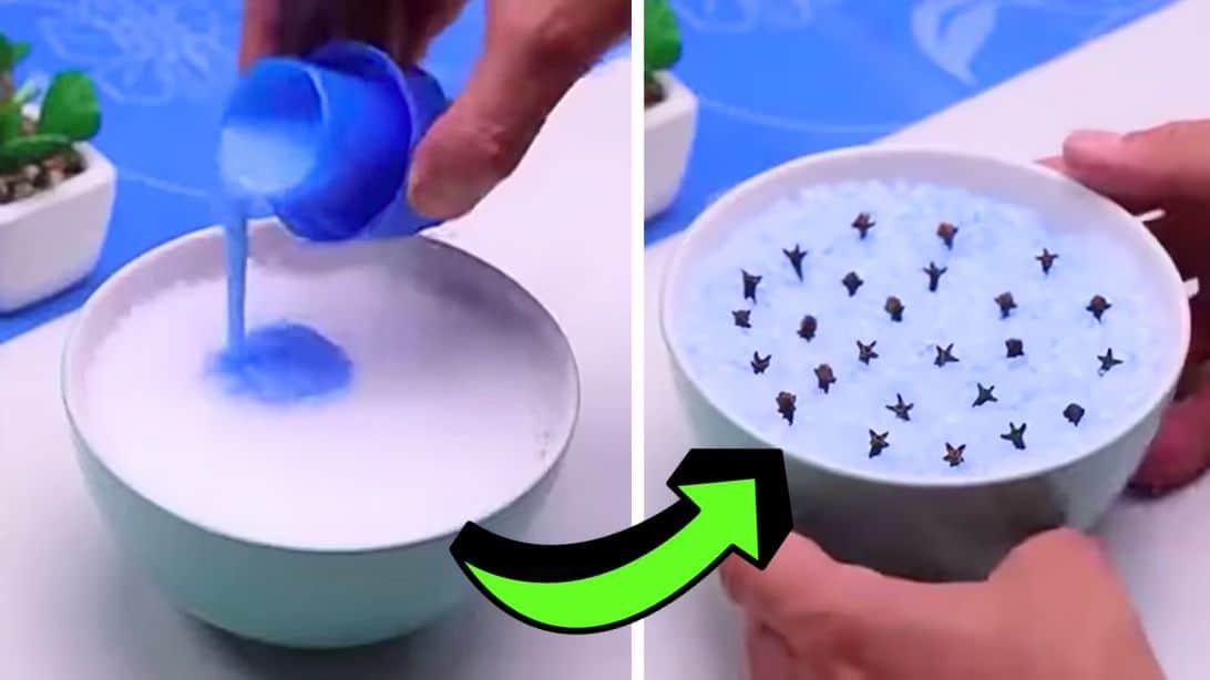 Inexpensive Way to Get Rid of Bad Odor in Your House
