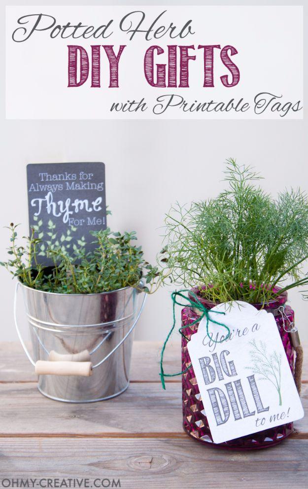 Potted Herb DIY Gift, simple enough to finish in an afternoon and better than a store bought version