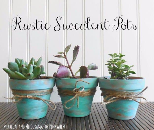 DIY Rustic Succulent Pots, a budget friendly way to update the space and a simple upgrade almost anyone can try