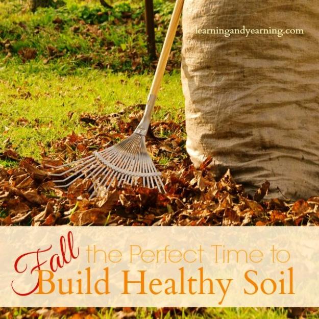 Leaf rake pulling brown fallen leaves beside a burlap sack on grass, titled Fall the Perfect Time to Build Soil