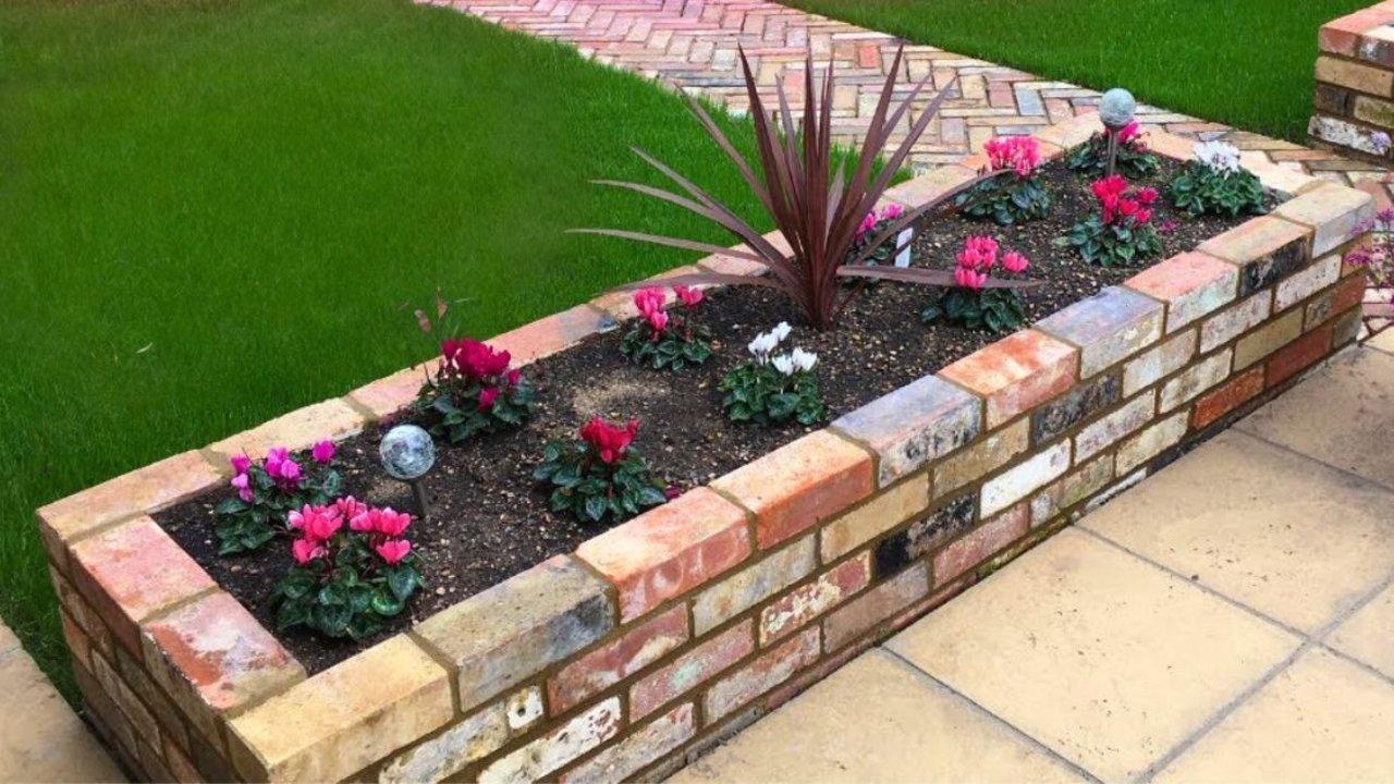 Brick raised garden planter, a low brick edged bed of pink cyclamen beside a lawn and a pale paved patio
