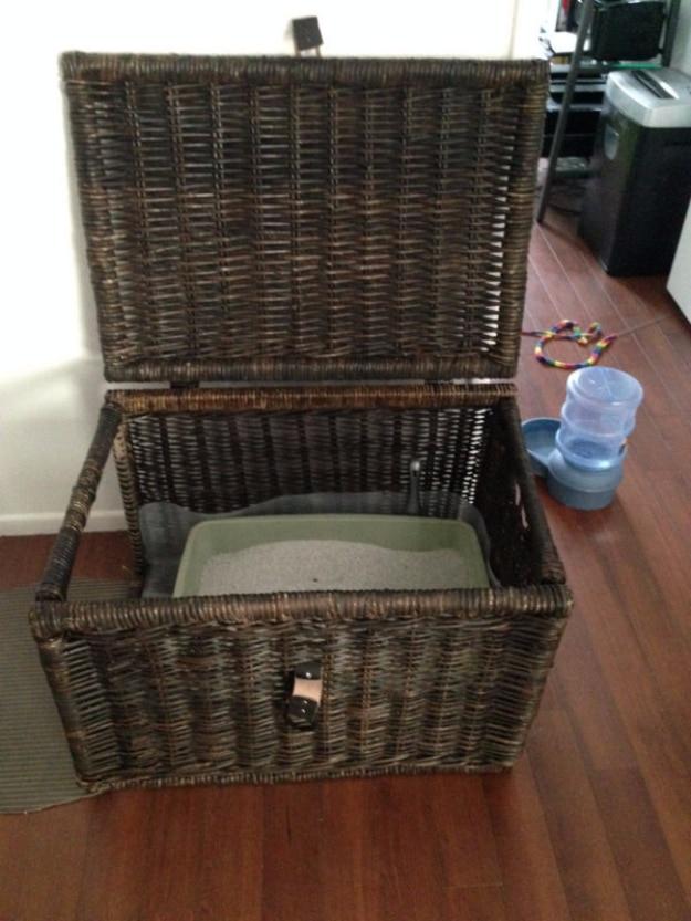 Hide The Litter Box Inside A Chest, a clever pet solution, low effort once the method is clear and the fix worth remembering