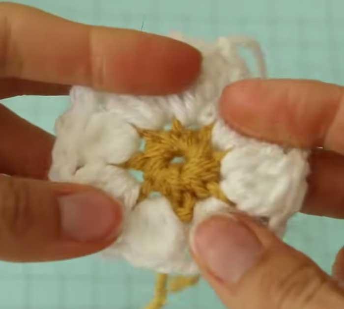 Daisy Crochet Project - Granny Squares