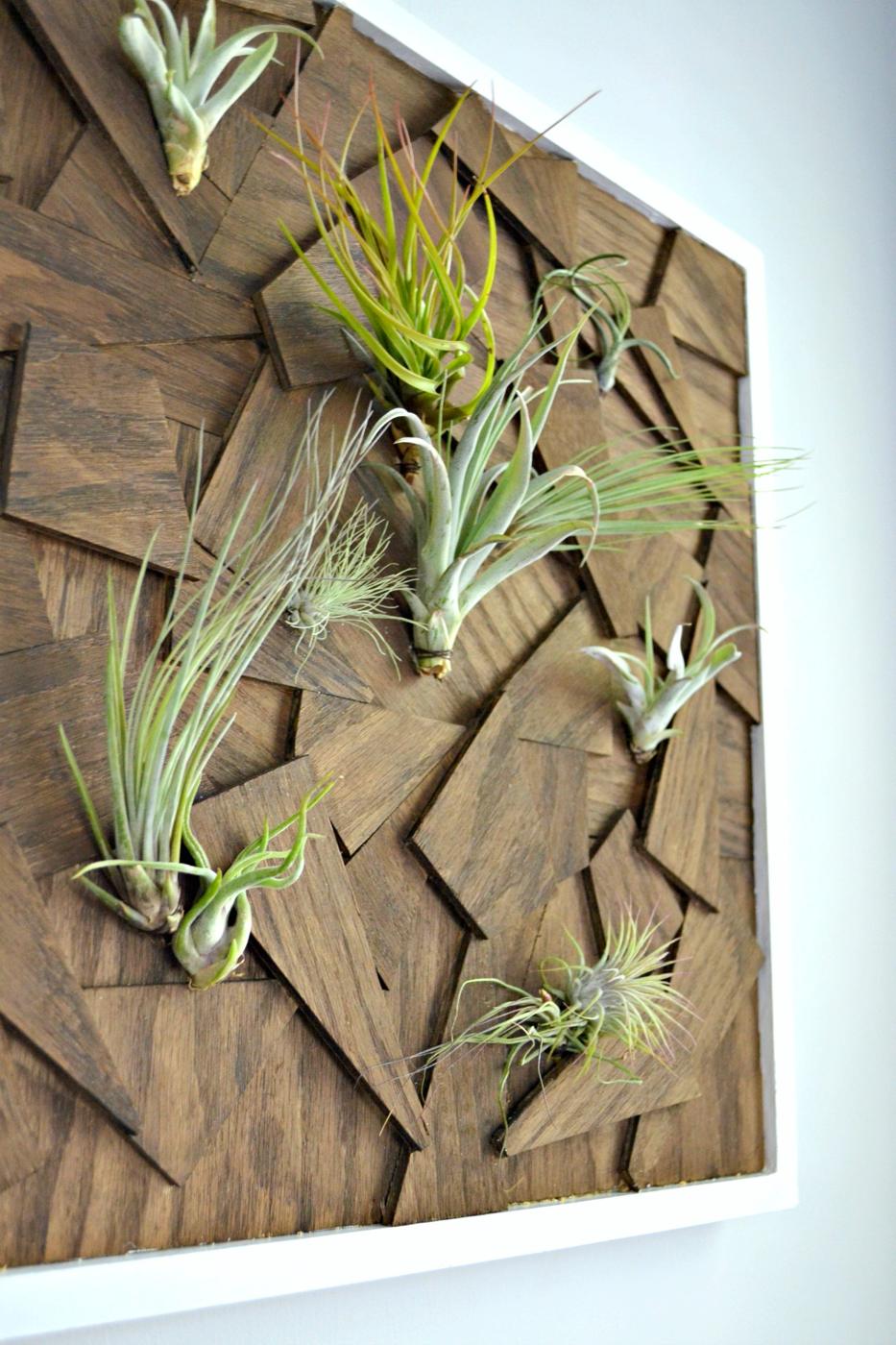 Mosaic of stained scrap wood pieces in a white frame with green air plants tucked between them, hanging on a wall
