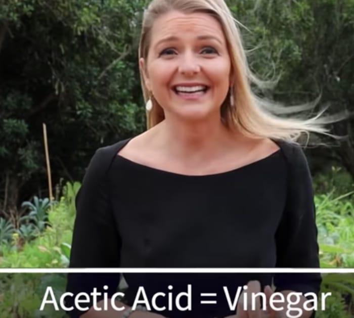 How to kill Covid 19 according to the WHO and The CDC and the EPA