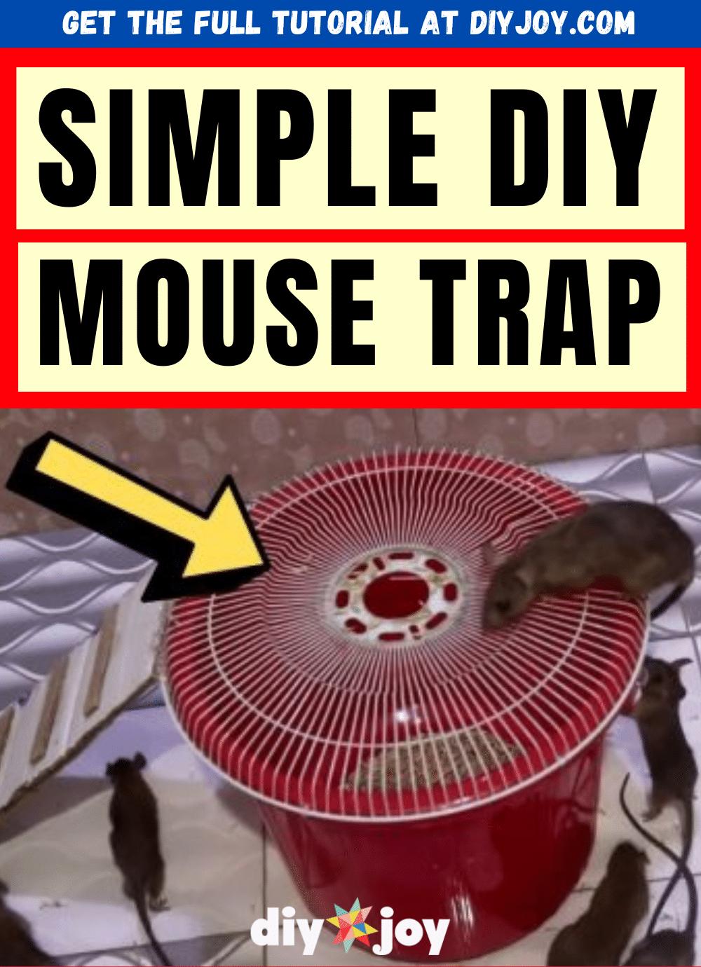 Simple DIY Mouse Trap Tutorial