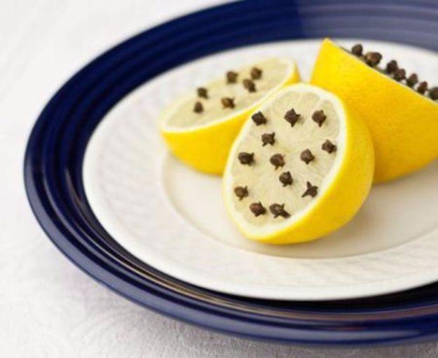 Best Ways to Get Rid of Bugs - Using Cloves to Repel House Flies - Easy Tips and Tricks to Get Rid of Roaches, Ants, Fleas and Flies - DIY Ways To Exterminate and Elimiate Pests fr
