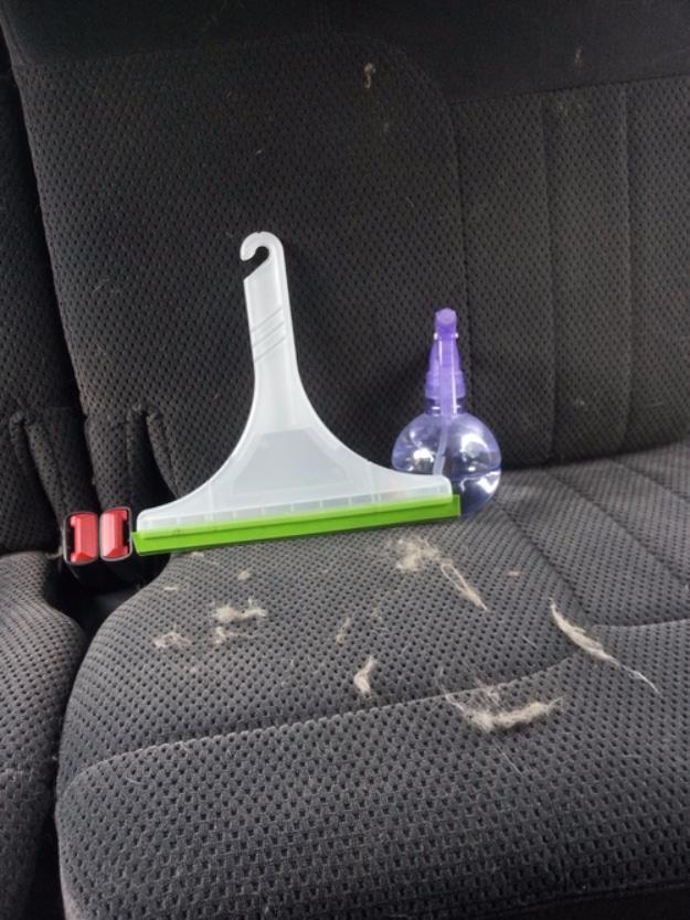 White and green window squeegee and a small purple spray bottle propped on a black cloth car seat covered in pale dog hair