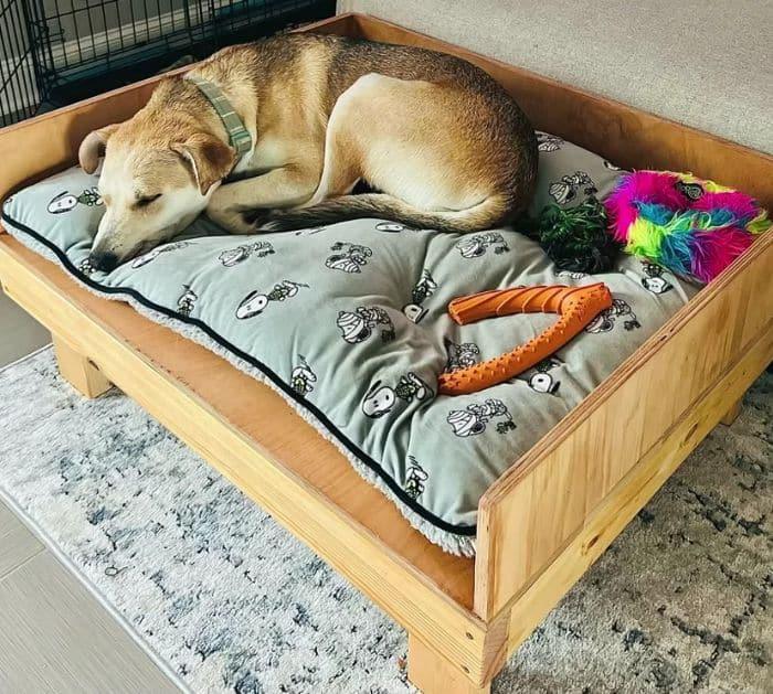 Easy Dog Bed Tutorial For Beginners