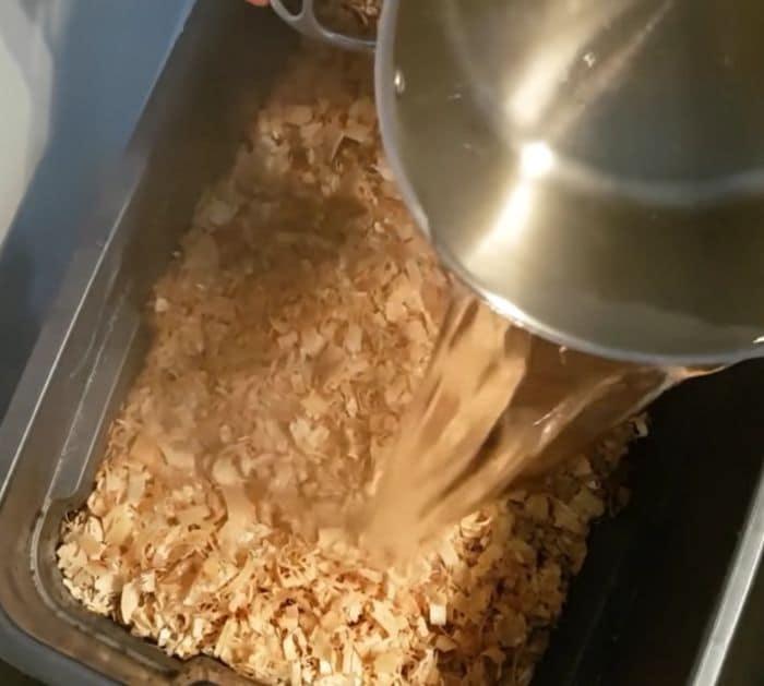 How To Grow Mushrooms At Home
