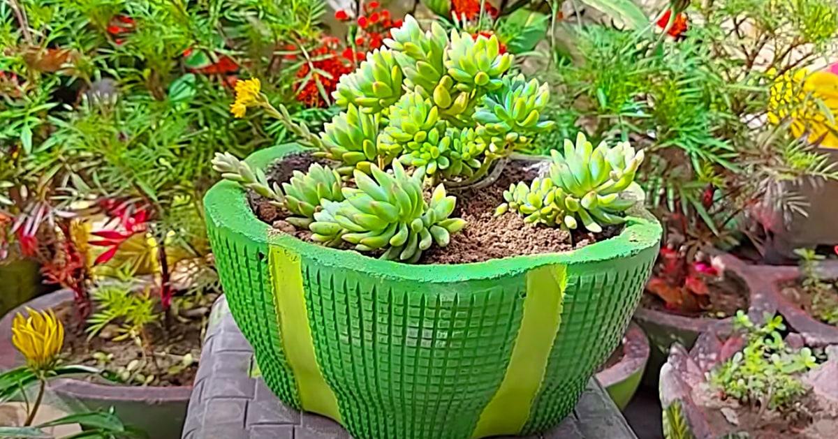 Make A Cement Pot Using A Laundry Basket For A Mold