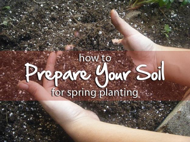 Preparing Your Garden Soil for Spring Herb Planting, a productive backyard plot, and color that lasts for months on end