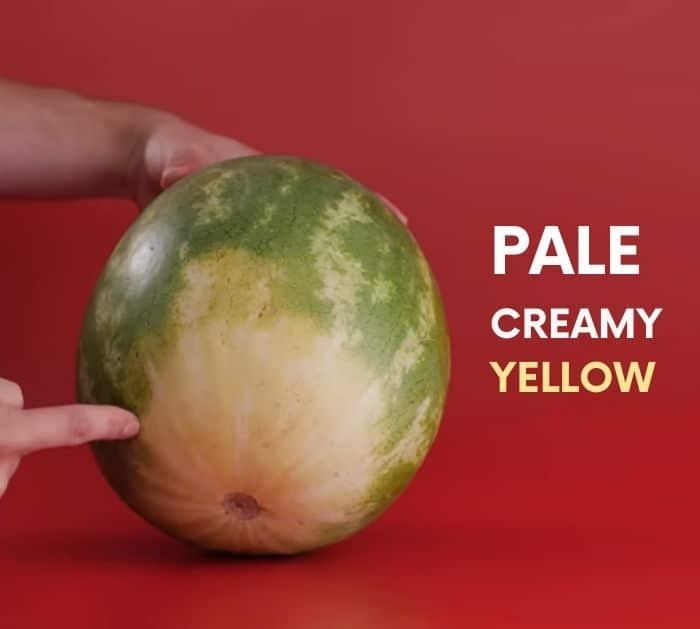 How to Pick The Perfect Watermelon