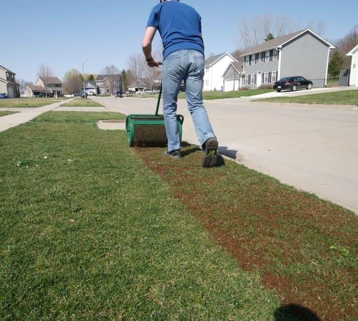 Overseeding Tips And Tricks