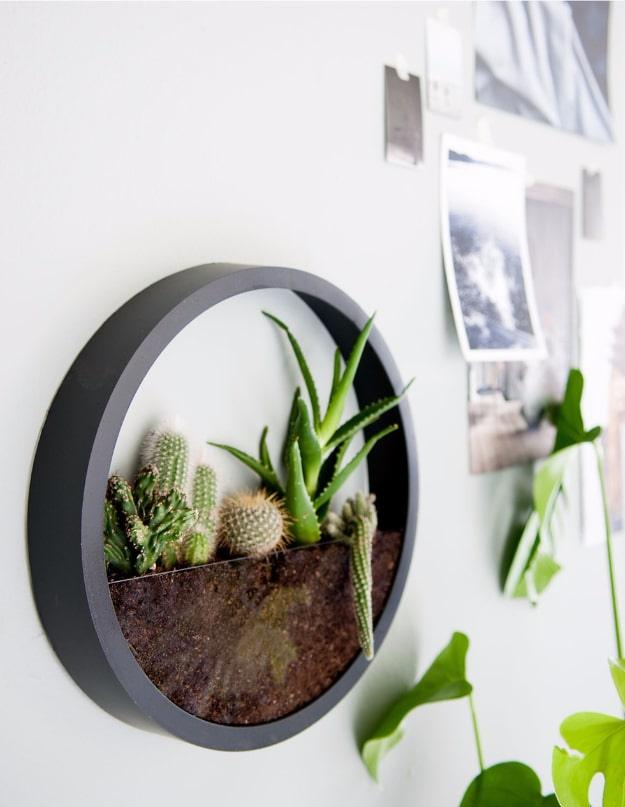 Round grey wall clock frame converted to a planter holding small cacti and aloe in soil, hung beside photos on white wall