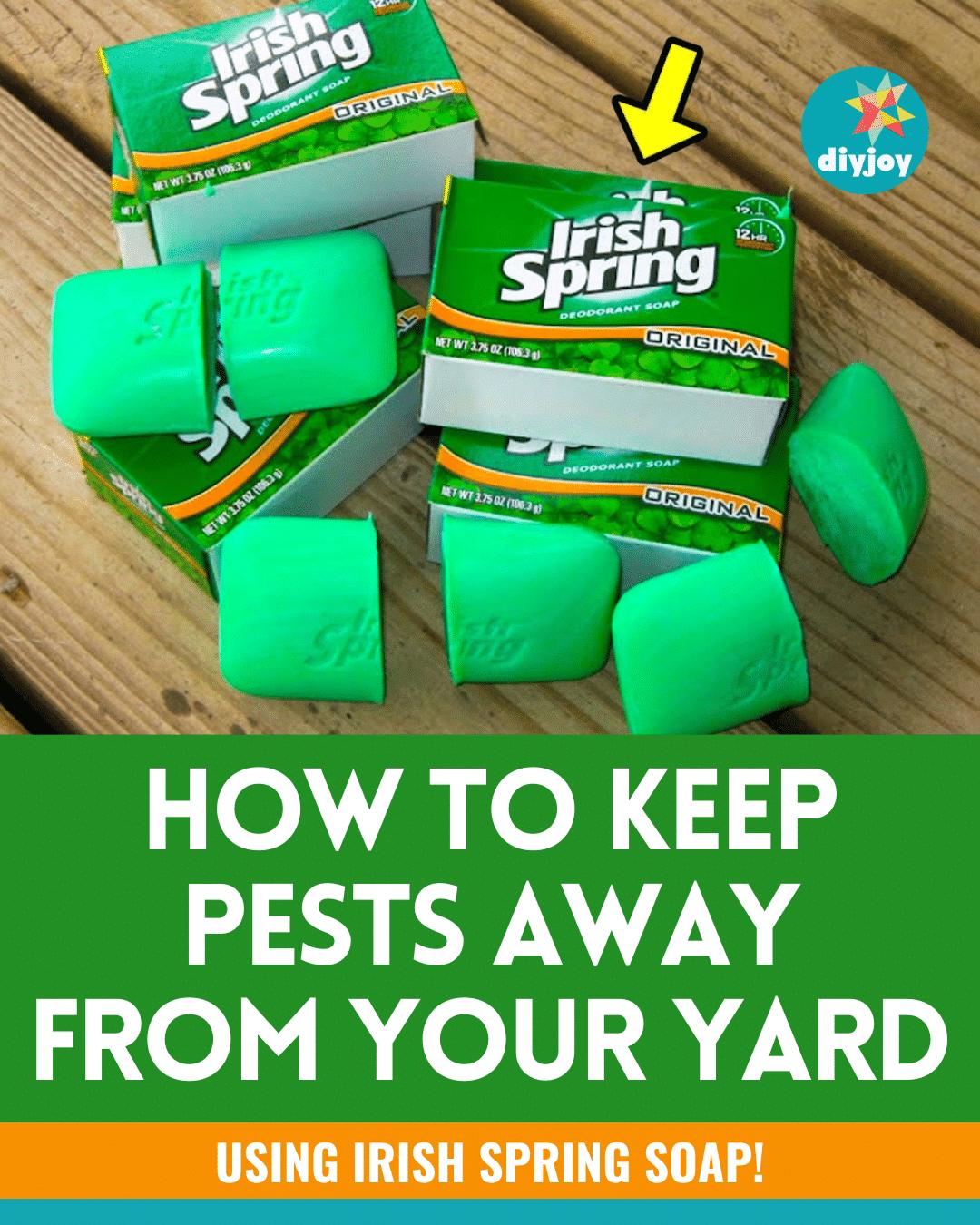 How To Keep Yard Pests Away Using Irish Spring Soap