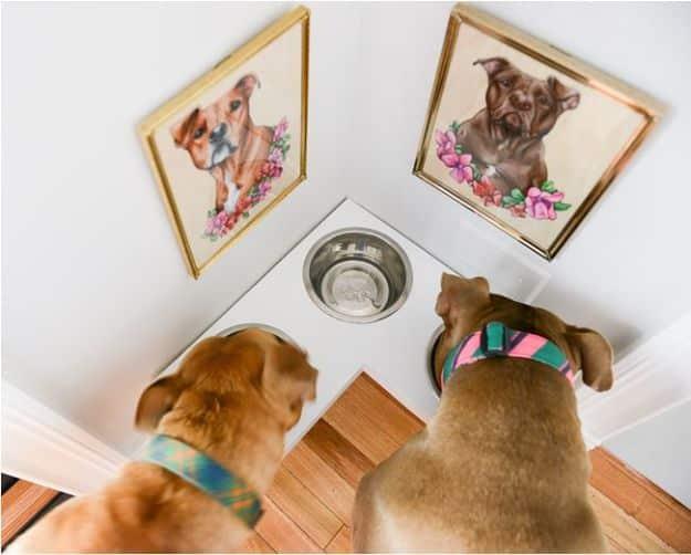 DIY Pet Bowls And Feeding Stations - DIY Corner Pet Food Station - Easy Ideas for Serving Dog and Cat Food, Ways to Raise and Store Bowls - Organize Your Dog Food and Water Bowl Wi