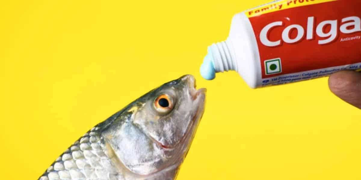 Toothpaste Just For Just Brushing Teeth? See The Brilliant Things You Can Do With It!