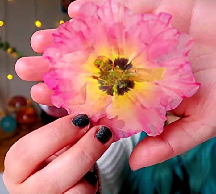 make a DIY Resin flower with a microwave flower press