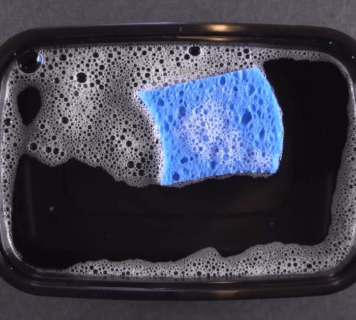 How to Sanitize Your Sponge Like a Pro