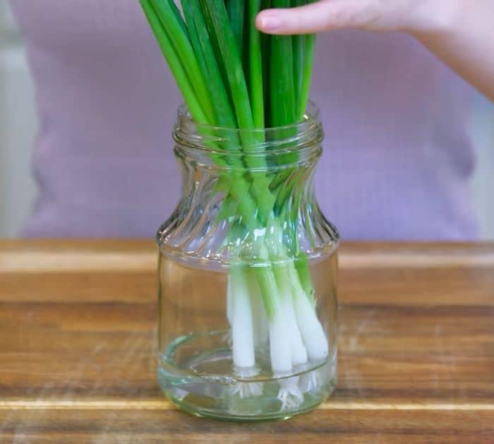 Keep Scallions Fresh in Fridge