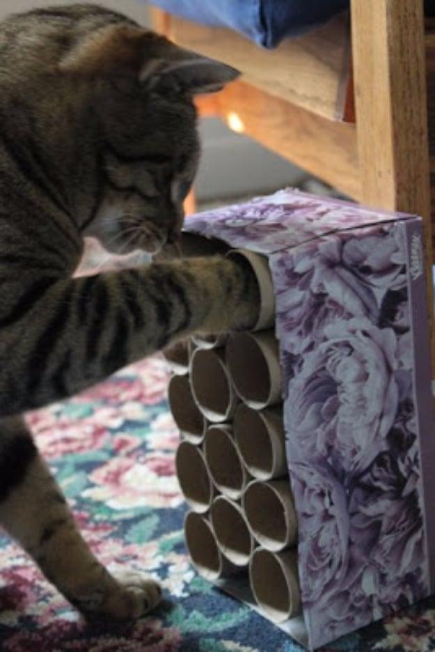 Easy Cat Mystery Box, easy to keep on hand for the next time it comes up and proof the simplest fix is usually the best one