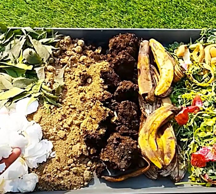 Easy Compost Ingredients - Kitchen Scrap Compost - How To Grow Plants