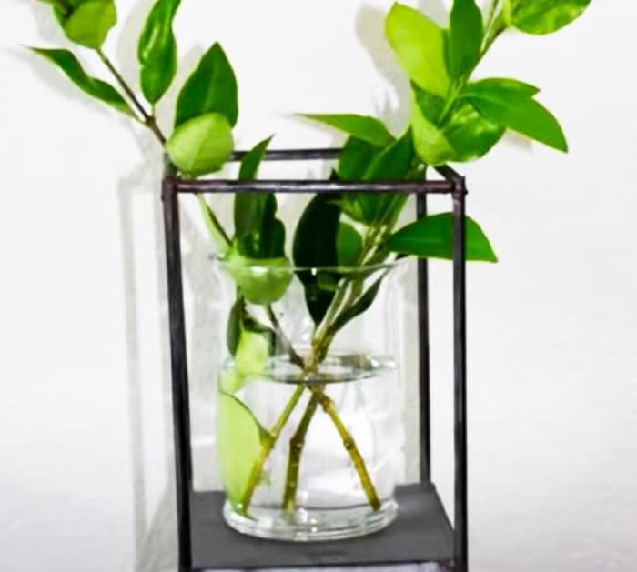 8 Dollar Tree Modern Farmhouse Decor Ideas | DIY Hacks