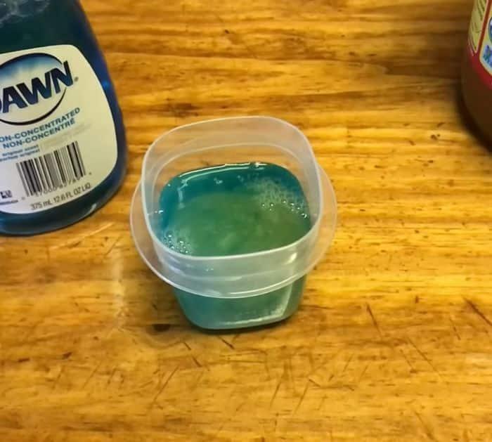 What You Need to Get Rid of Gnats