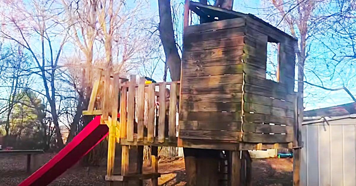 How To Make A Tree Fort For $100