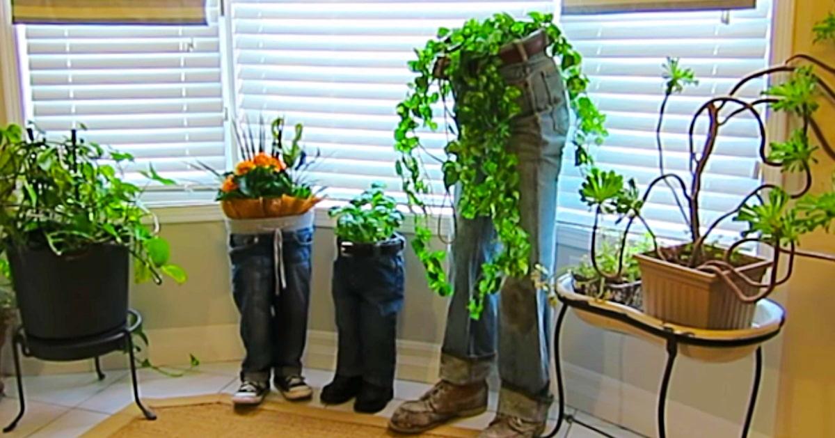 DIY Blue Jean Planters