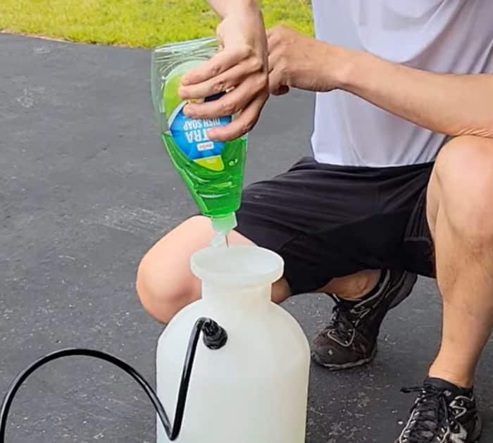 What You Need to Get Rid of Ants